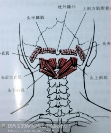 三角枕下.png